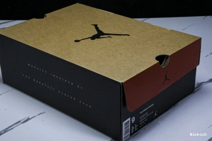 AIR 12 CT8013-002 (2025) Flu JORDAN Game 1017